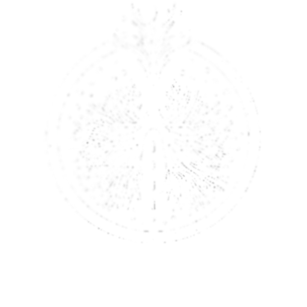 awake to dream